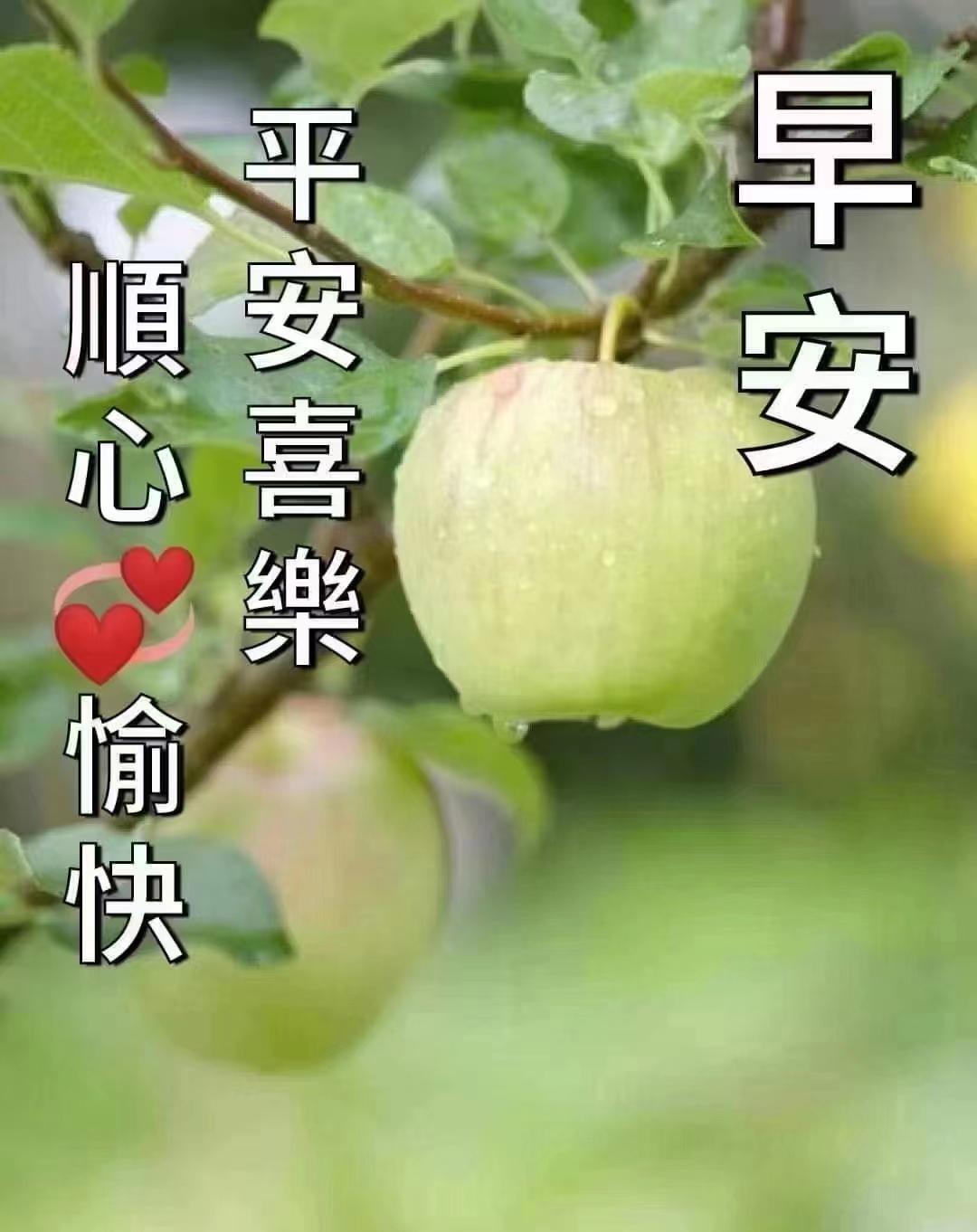 正常上班欢迎砸单